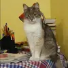 Отзыв от Алина Поликарпова